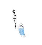 青いセキセイインコと白い文鳥（個別スタンプ：9）