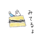 青いセキセイインコと白い文鳥（個別スタンプ：15）