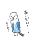 青いセキセイインコと白い文鳥（個別スタンプ：18）