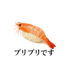 毎日食べたい！日本の寿司スタンプ！（個別スタンプ：23）