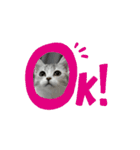 動くいぶちゃん（個別スタンプ：6）