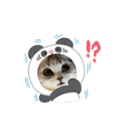 動くいぶちゃん（個別スタンプ：15）