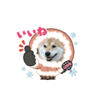 シュールたち（個別スタンプ：6）