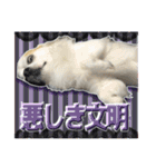 賢賢犬（かしこかしこドッグ）3（個別スタンプ：6）