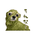 賢賢犬（かしこかしこドッグ）3（個別スタンプ：14）