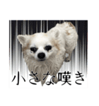 賢賢犬（かしこかしこドッグ）3（個別スタンプ：22）