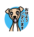 【フォーン4】1年中使える♡パピーイタグレ（個別スタンプ：1）