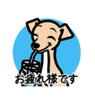 【フォーン4】1年中使える♡パピーイタグレ（個別スタンプ：8）