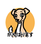 【フォーン4】1年中使える♡パピーイタグレ（個別スタンプ：11）