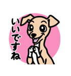 【フォーン4】1年中使える♡パピーイタグレ（個別スタンプ：13）