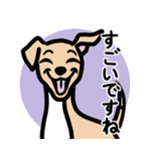 【フォーン4】1年中使える♡パピーイタグレ（個別スタンプ：14）
