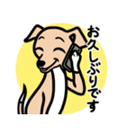 【フォーン4】1年中使える♡パピーイタグレ（個別スタンプ：17）
