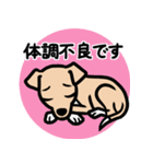 【フォーン4】1年中使える♡パピーイタグレ（個別スタンプ：20）