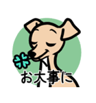 【フォーン4】1年中使える♡パピーイタグレ（個別スタンプ：23）