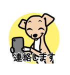 【フォーン4】1年中使える♡パピーイタグレ（個別スタンプ：24）