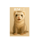 かわいいフェレット・おこめの毎日スタンプ（個別スタンプ：3）