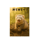 かわいいフェレット・おこめの毎日スタンプ（個別スタンプ：14）