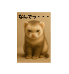 かわいいフェレット・おこめの毎日スタンプ（個別スタンプ：15）