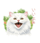 可愛い♡おしゃれな猫（個別スタンプ：18）