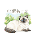 可愛い♡おしゃれな猫（個別スタンプ：22）