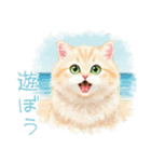 可愛い♡おしゃれな猫（個別スタンプ：24）