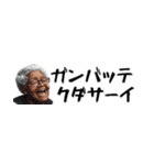 省スペース黒人ばばぁ。毎日使えて超便利！（個別スタンプ：14）