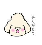 マルプーのマロンちゃん。（個別スタンプ：2）