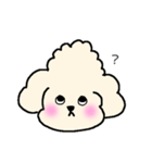 マルプーのマロンちゃん。（個別スタンプ：3）
