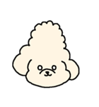 マルプーのマロンちゃん。（個別スタンプ：4）
