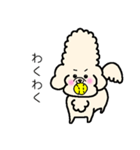 マルプーのマロンちゃん。（個別スタンプ：9）