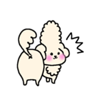 マルプーのマロンちゃん。（個別スタンプ：13）