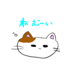 日常ねこサン（個別スタンプ：12）