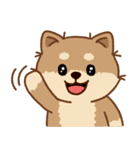 マランちゃんの毎日が楽しい（個別スタンプ：1）