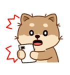 マランちゃんの毎日が楽しい（個別スタンプ：20）