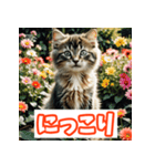ひとこと子猫スタンプ（個別スタンプ：1）