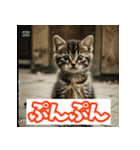 ひとこと子猫スタンプ（個別スタンプ：2）