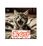 ひとこと子猫スタンプ（個別スタンプ：4）