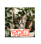 ひとこと子猫スタンプ（個別スタンプ：5）