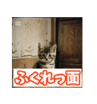 ひとこと子猫スタンプ（個別スタンプ：6）