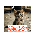 ひとこと子猫スタンプ（個別スタンプ：8）