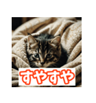 ひとこと子猫スタンプ（個別スタンプ：10）