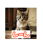 ひとこと子猫スタンプ（個別スタンプ：12）