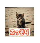 ひとこと子猫スタンプ（個別スタンプ：13）