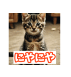 ひとこと子猫スタンプ（個別スタンプ：14）