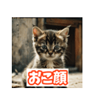 ひとこと子猫スタンプ（個別スタンプ：15）