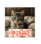 ひとこと子猫スタンプ（個別スタンプ：16）