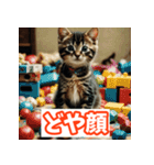 ひとこと子猫スタンプ（個別スタンプ：18）
