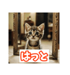 ひとこと子猫スタンプ（個別スタンプ：19）