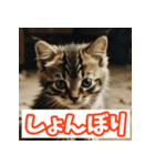 ひとこと子猫スタンプ（個別スタンプ：21）