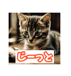 ひとこと子猫スタンプ（個別スタンプ：24）